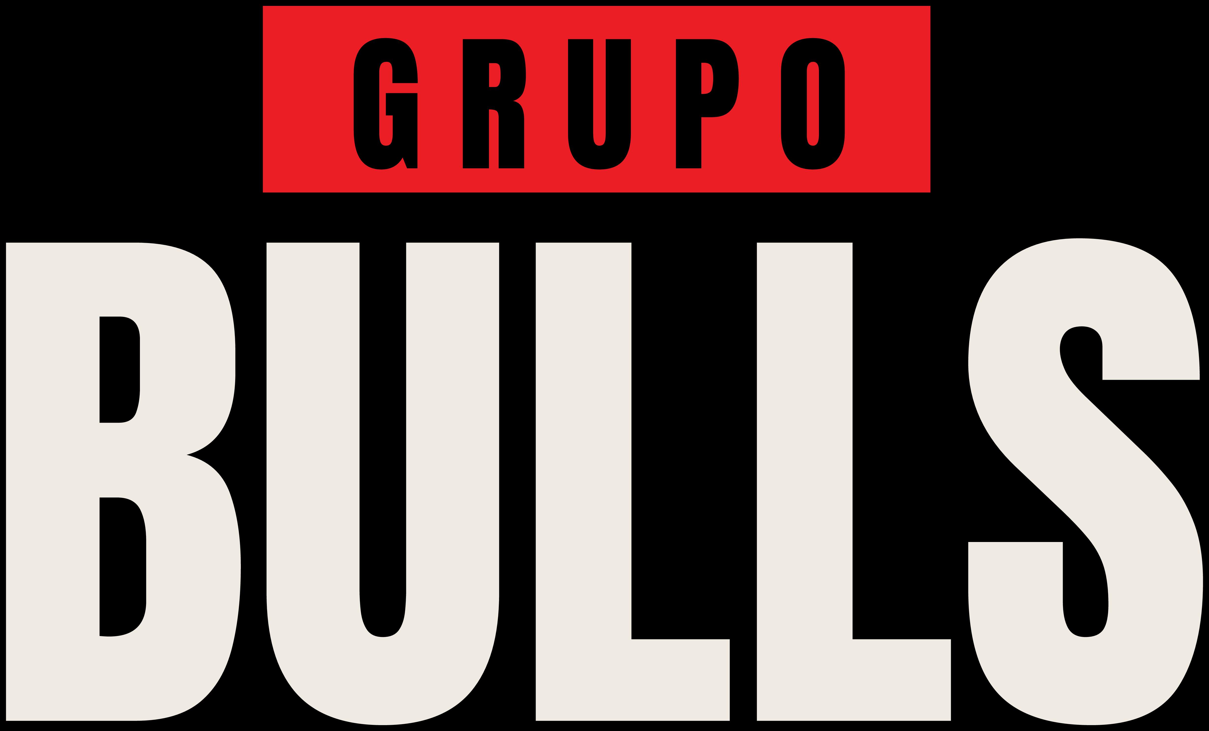 Grupo Bulls